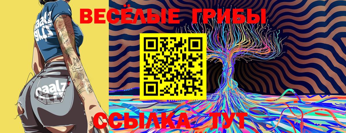 Галлюциногенные грибы Psilocybine cubensis Лобня