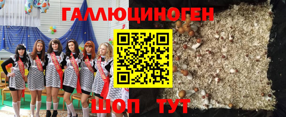 Галлюциногенные грибы Magic Shrooms  Галлюциногенные грибы GOLDEN TEACHER  магазин продажи наркотиков  Лобня  Вход с VPN 